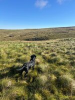 IMG_0487.jpeg