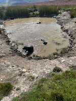 IMG_0490.jpeg