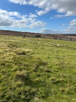 IMG_0493.jpeg