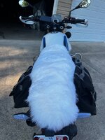 IMG_8855.jpeg