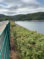 IMG_0437.jpeg