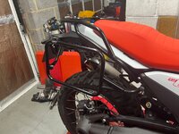 IMG_1095.jpeg