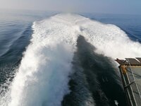 IMG_20240830_161348.jpg