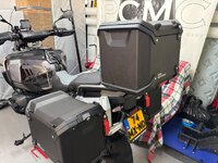 IMG_4005.jpeg