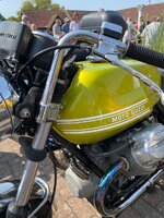IMG_6964.jpeg