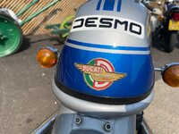 IMG_6959.jpeg