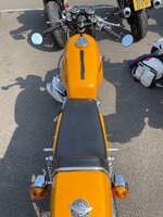 IMG_6957.jpeg