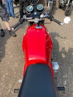 IMG_6934.jpeg