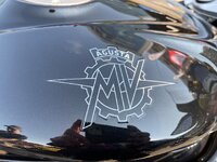 IMG_6920.jpeg
