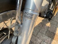 IMG_6919.jpeg