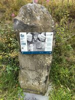 IMG_0442.jpeg