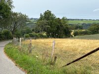 IMG_0445.jpeg