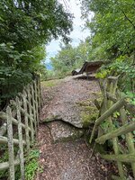 IMG_0472.jpeg