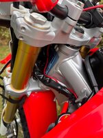 IMG_8095.jpeg
