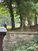 IMG_0499.jpeg
