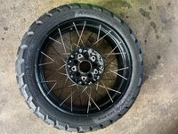 IMG_1299.jpeg