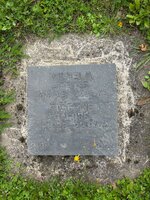 IMG_0531.jpeg