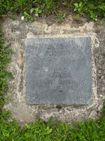 IMG_0530.jpeg
