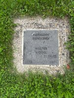 IMG_0533.jpeg