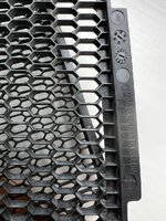 IMG_3351.jpeg