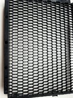 IMG_3352.jpeg