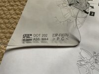 IMG_7294.jpeg