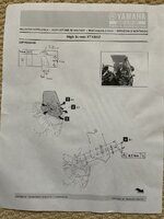IMG_7293.jpeg