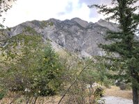 IMG_0532.JPG