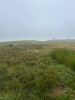 IMG_0508.jpeg