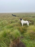IMG_0510.jpeg
