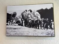 IMG_0585.jpeg