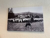 IMG_0586.jpeg