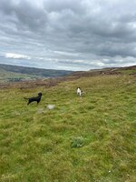 IMG_0518.jpeg