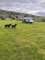 IMG_0519.jpeg