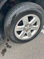 IMG_3677.jpeg IMG_3677.jpeg