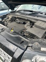 IMG_3666.jpeg IMG_3666.jpeg