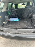 IMG_3664.jpeg IMG_3664.jpeg