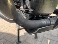 IMG_8221.jpeg