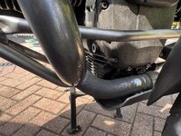 IMG_8224.jpeg
