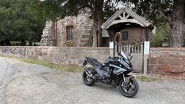 IMG_7175.jpeg
