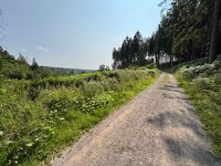 IMG_0615.jpeg
