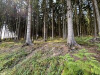 IMG_0616.jpeg
