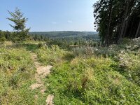 IMG_0618.jpeg