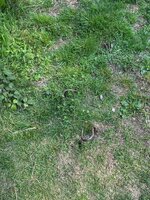 IMG_0619.jpeg