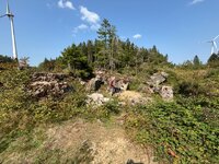 IMG_0629.jpeg