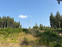 IMG_0635.jpeg
