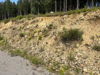 IMG_0636.jpeg