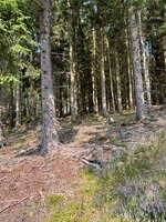 IMG_0638.jpeg