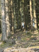 IMG_0637.jpeg