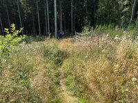 IMG_0643.jpeg